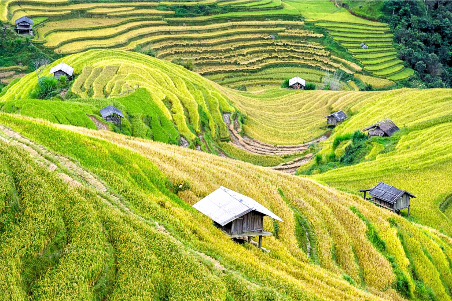 Viaggio in VietNam a luglio 2025