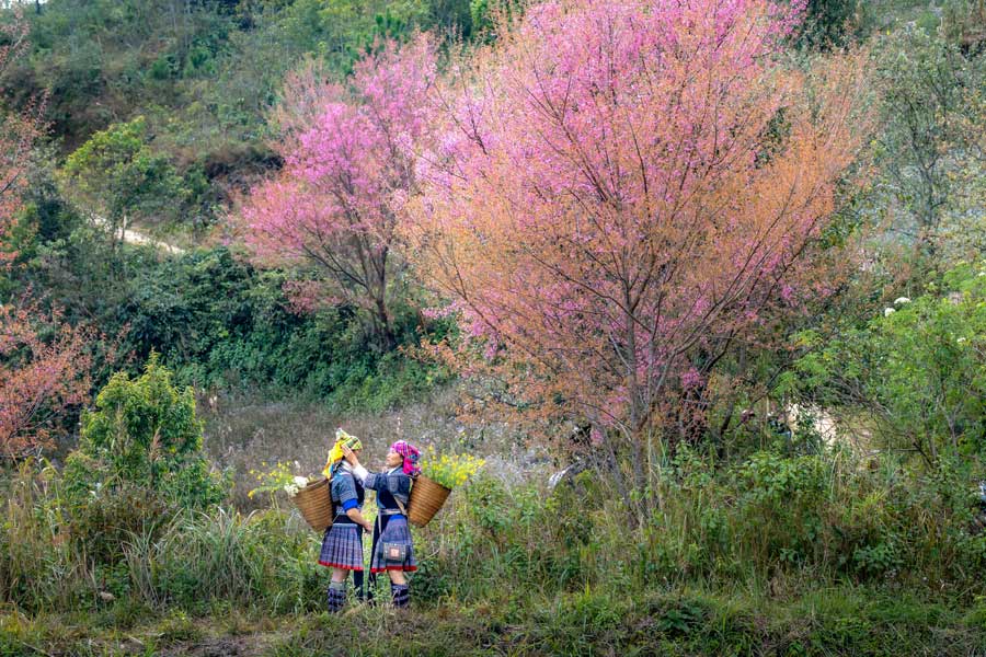 Vietnam autentico natura e villaggi