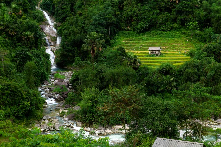 Vietnam autentico paesaggi verdeggianti