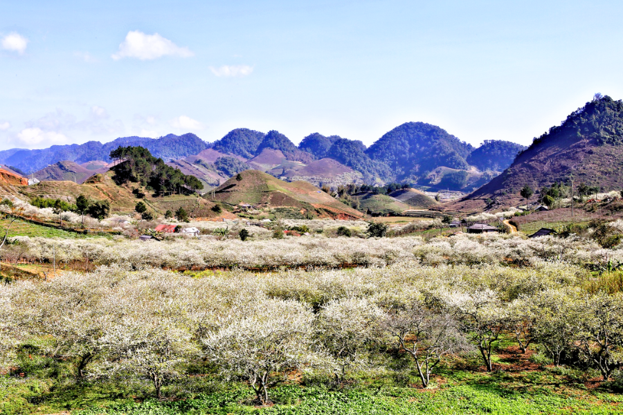 Vietnam del Nord: Guida Viaggi Mese per Mese