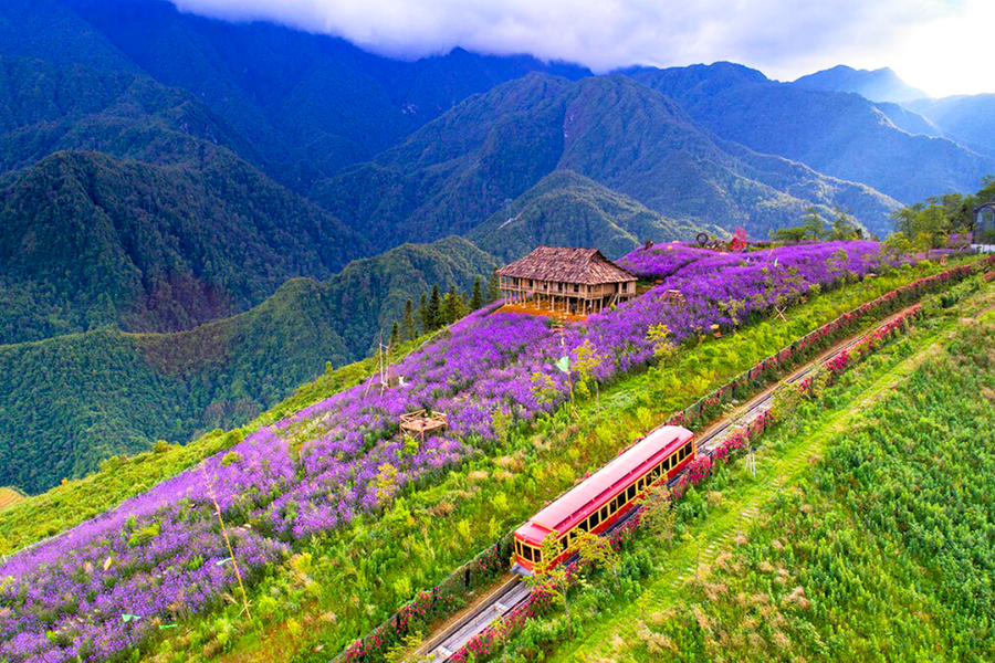 Vietnam del Nord: Guida Viaggi Mese per Mese