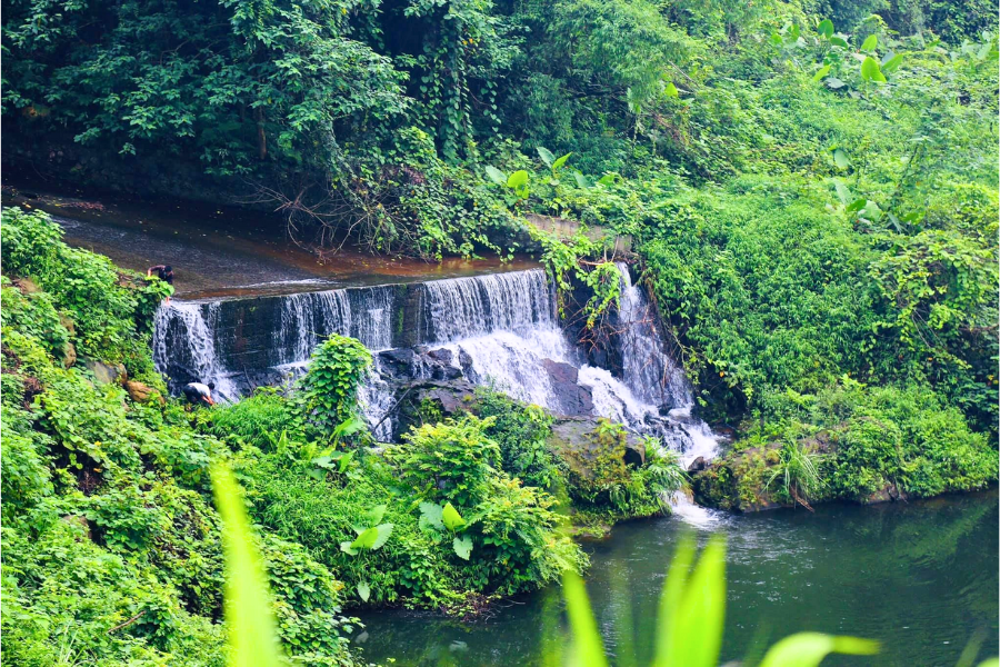 Vietnam del Nord: Guida Viaggi Mese per Mese
