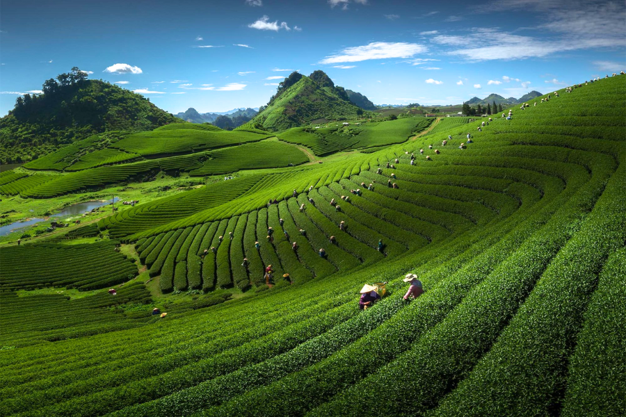 Vietnam del Nord: Guida Viaggi Mese per Mese