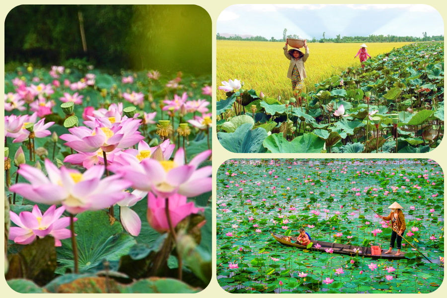 Vietnam a settembre: 15 luoghi da non perdere per foto mozzafiato