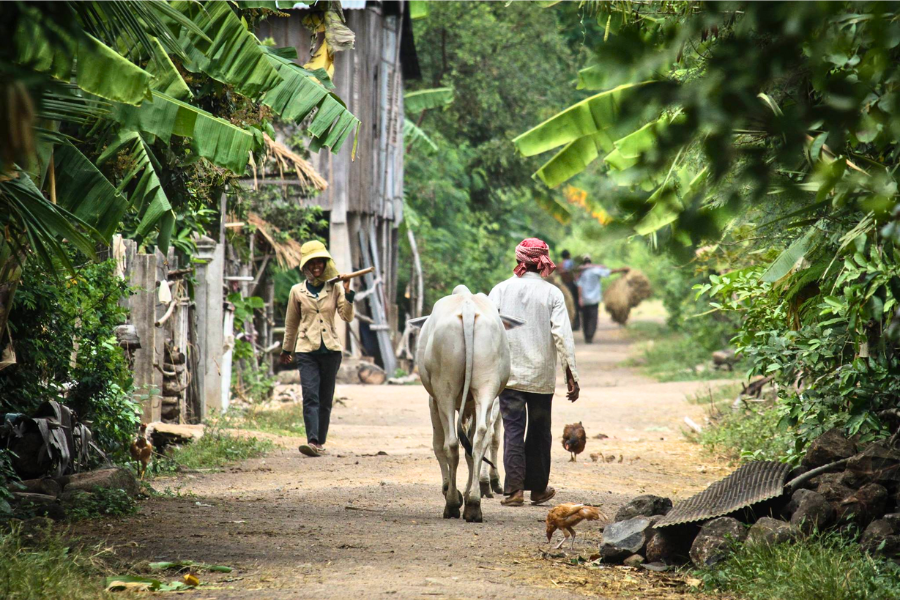 Villaggio di Cheung Kok - Attrazione in Kampong Cham