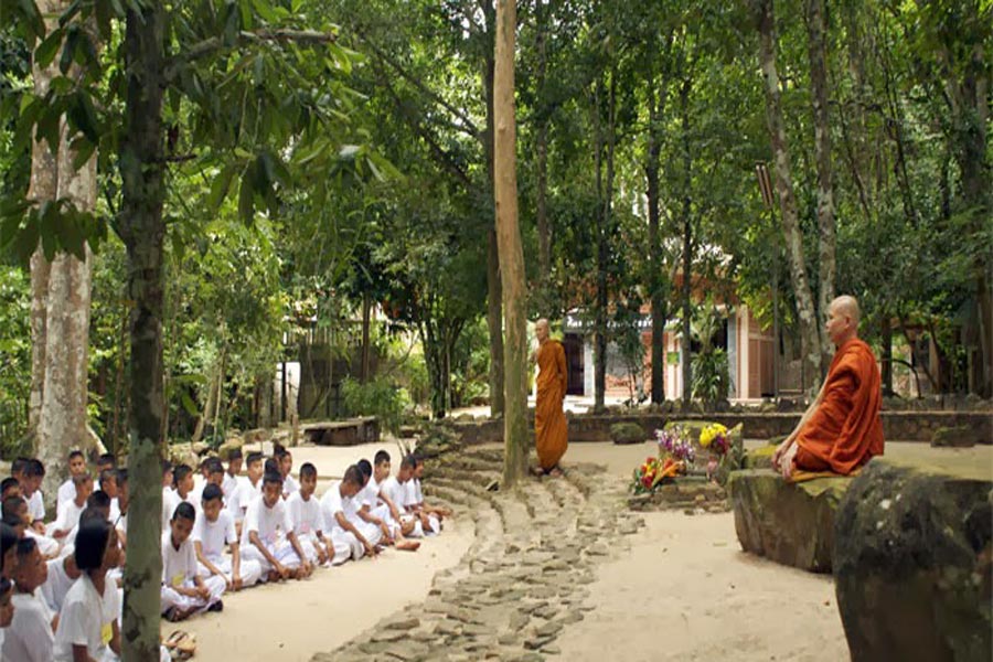 Vipassana in Cambogia: Meditazione e Guarigione Interiore