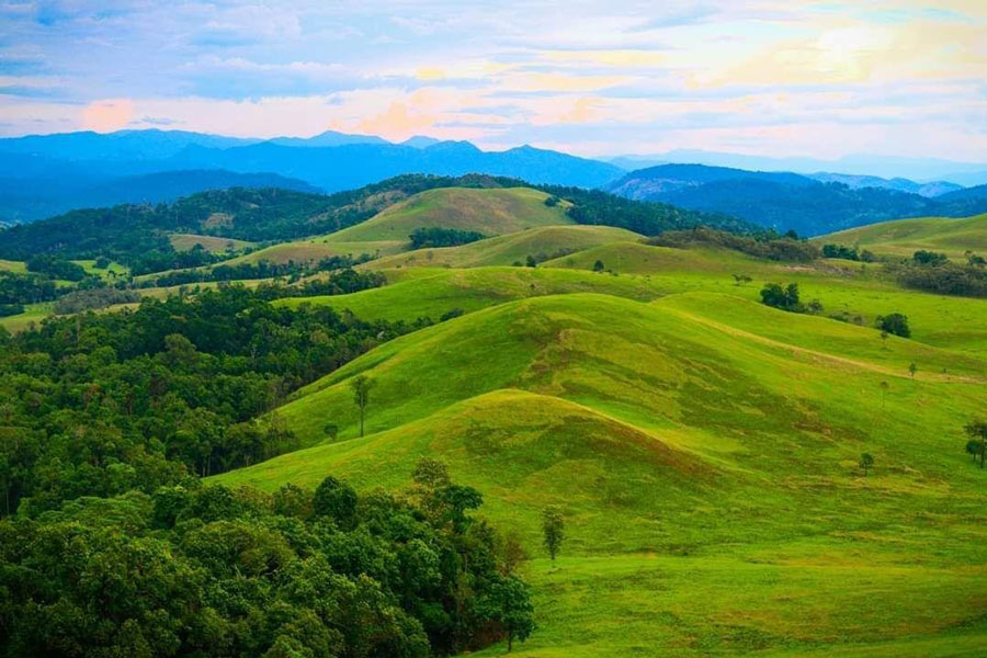 Il parco nazionale di Virachey
