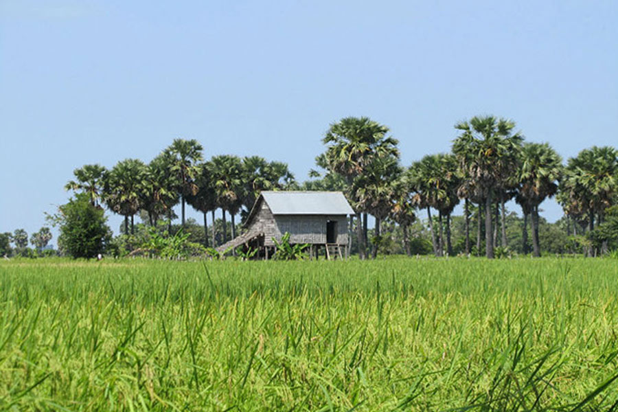 Wat Kiri Sela