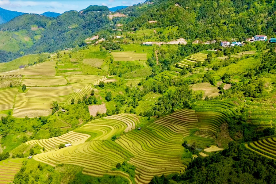 Xim Vang - Guida di viaggio - Attrazione in Son La