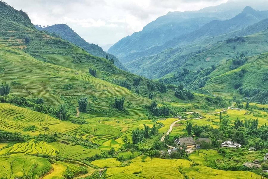 La bellezza naturale dei campi terrazzati in Y Ty 