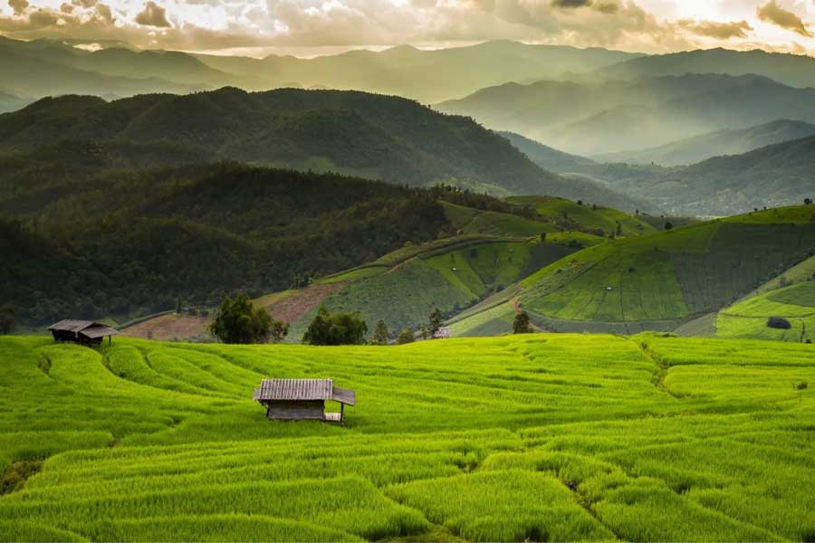 Trekking nella natura verde alle montagne di Chiang Mai