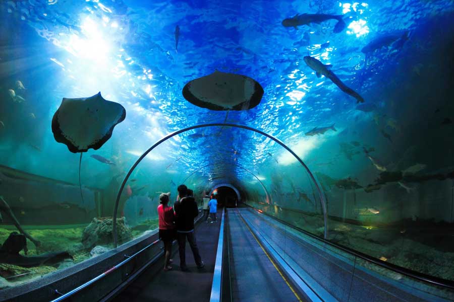 Acquario di Bueng Boraphet