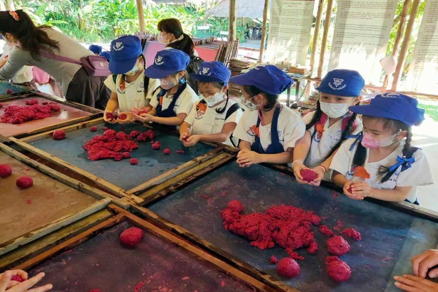Un’esperienza educativa e divertente