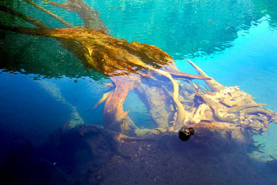 La purezza dell'acqua a Khoun Kong Leng
