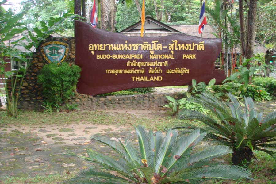Parco Nazionale di Budo-Su-ngai Padi