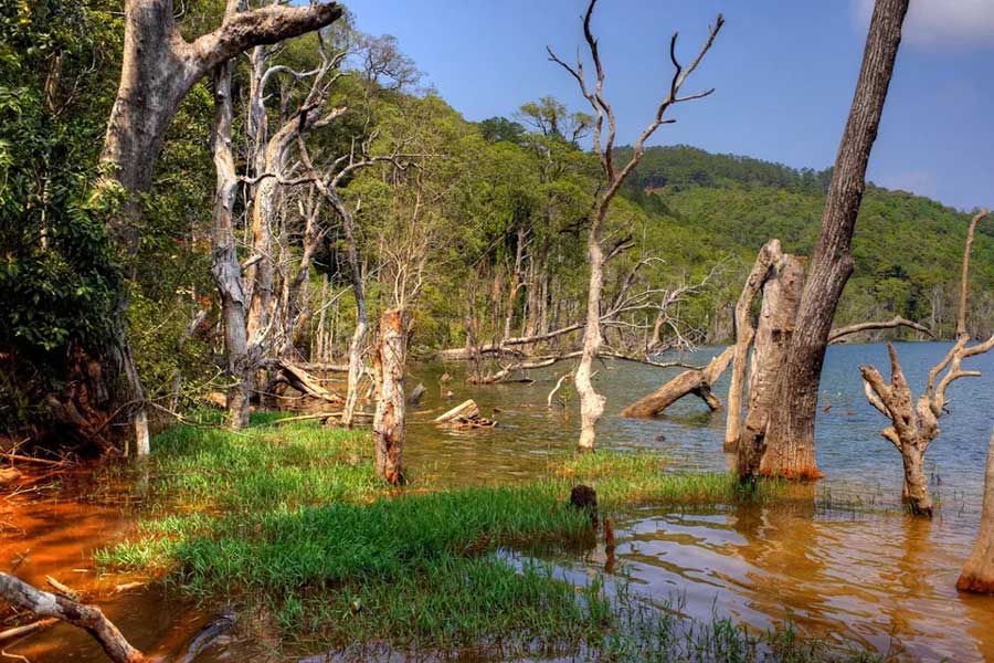 Bellezza a prescindere dall'inverno o dall'estate