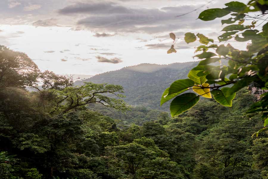 Immergiti nel verde della natura a Paksong