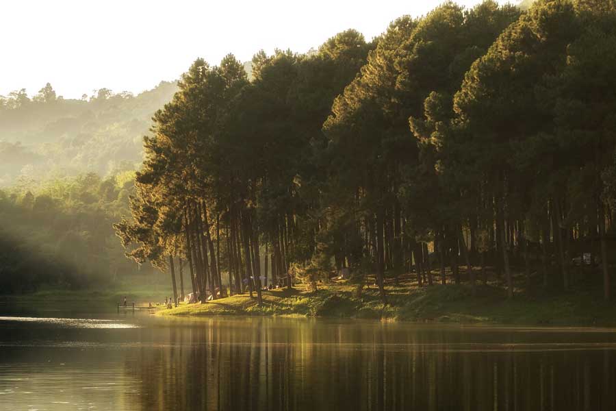 Una bellezza naturale da sogno