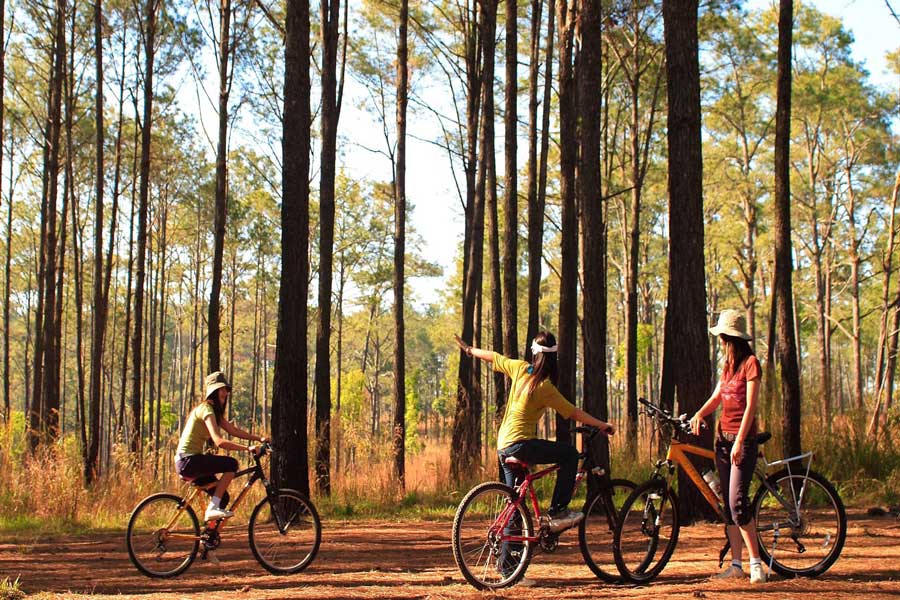 Prova il trekking o il ciclismo nel Thung Salaeng