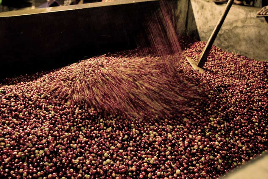 Processo di tostatura dei chicchi di caffè