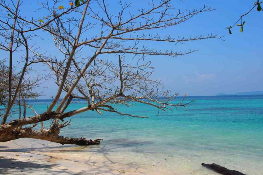 Trang: un gioiello nel Sud della Thailandia