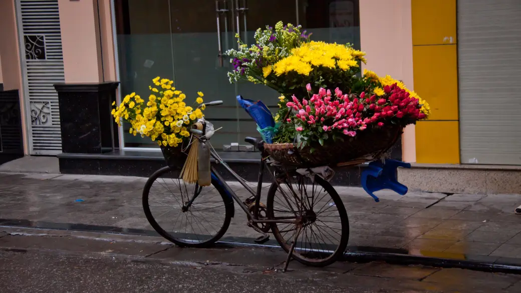 Arrivo ad Hanoi e spettacolo di marionette sull'acqua