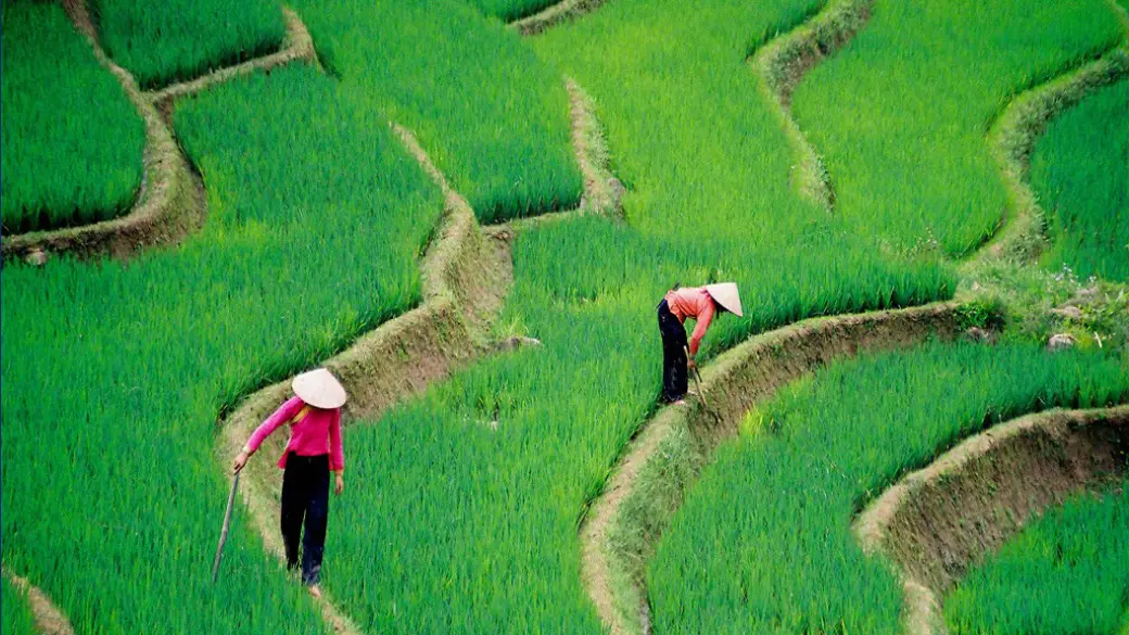 Mai Hich: passeggiata nei villaggi – Hanoi