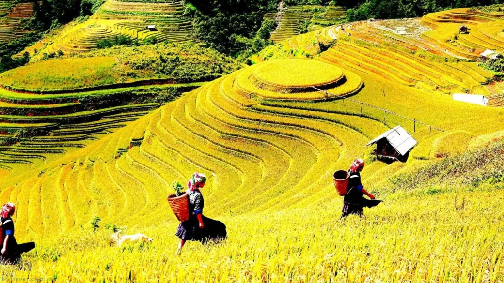Lao Cai – Mercato di Can Cau – Bac Ha - Villaggio di Ban Pho
