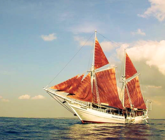 Croisière Katharina 