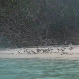 Dawei Princess