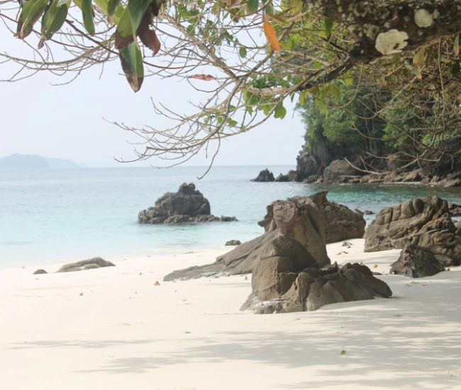 Dawei Princess