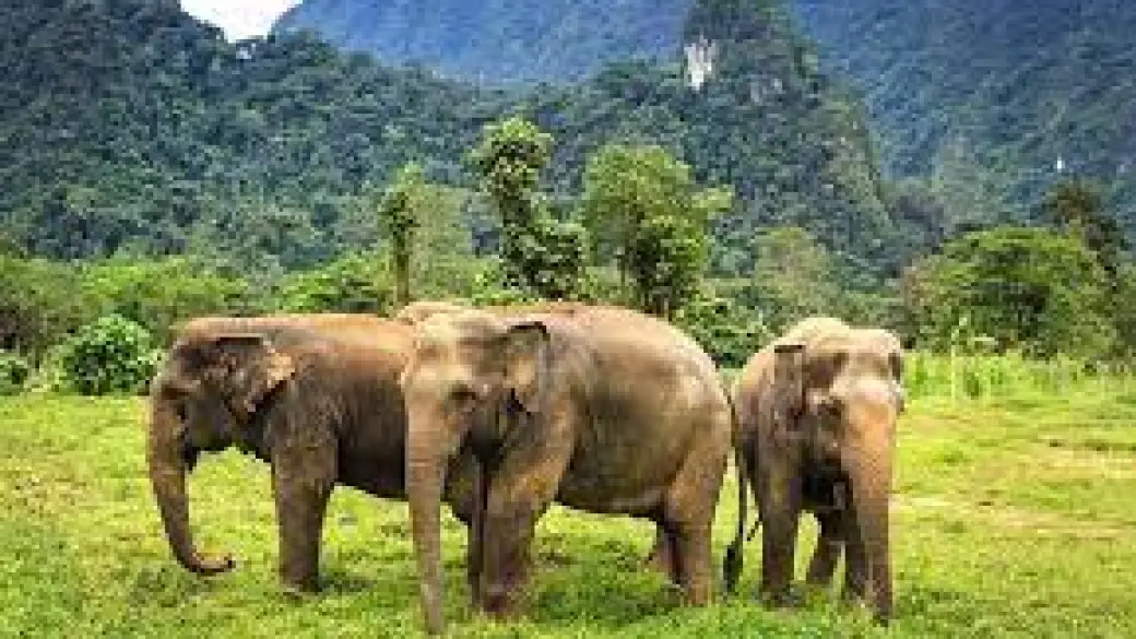 Chiang Mai - Mae Sapok Trekking