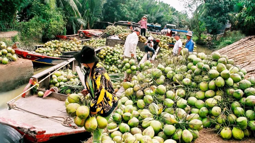 Saigon - Ben Tre - Can Tho
