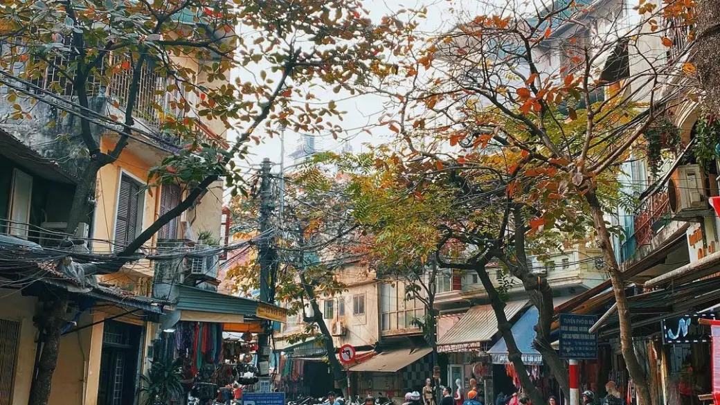 Hanoi visita