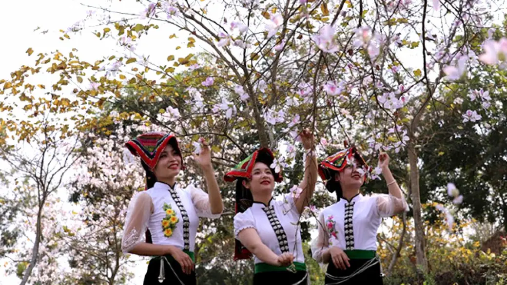 Hanoi - Nghia Lo