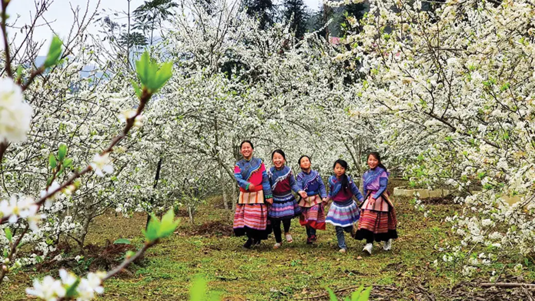 Bac Ha - Hanoi