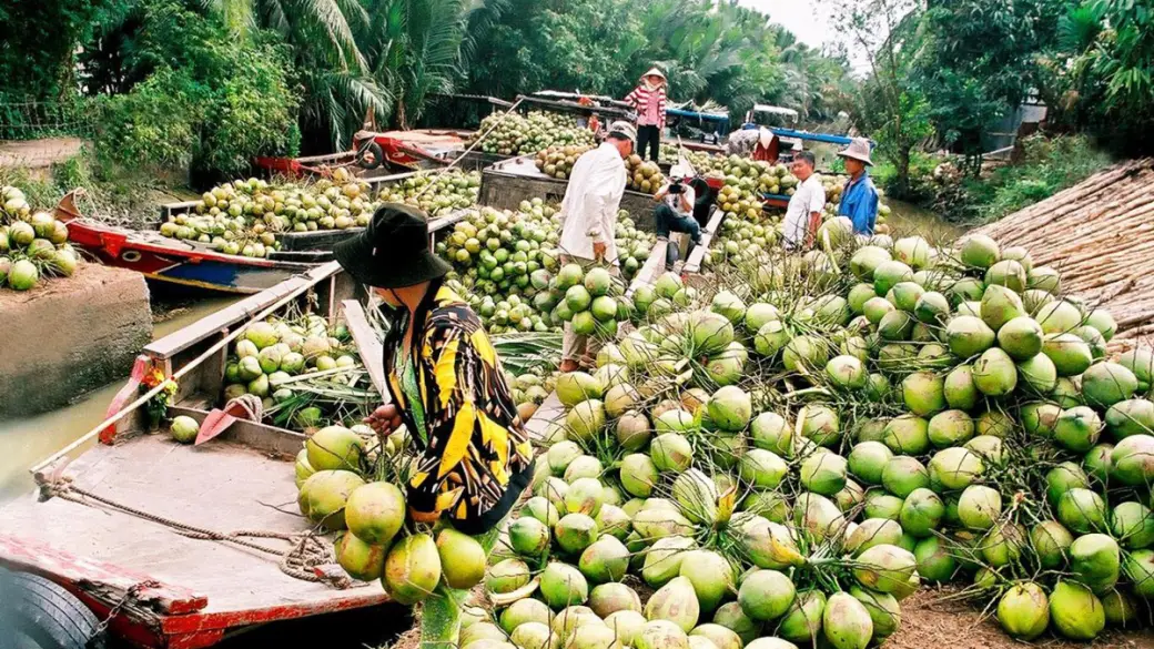 Saigon - Ben Tre (Phong Nam) - Can Tho