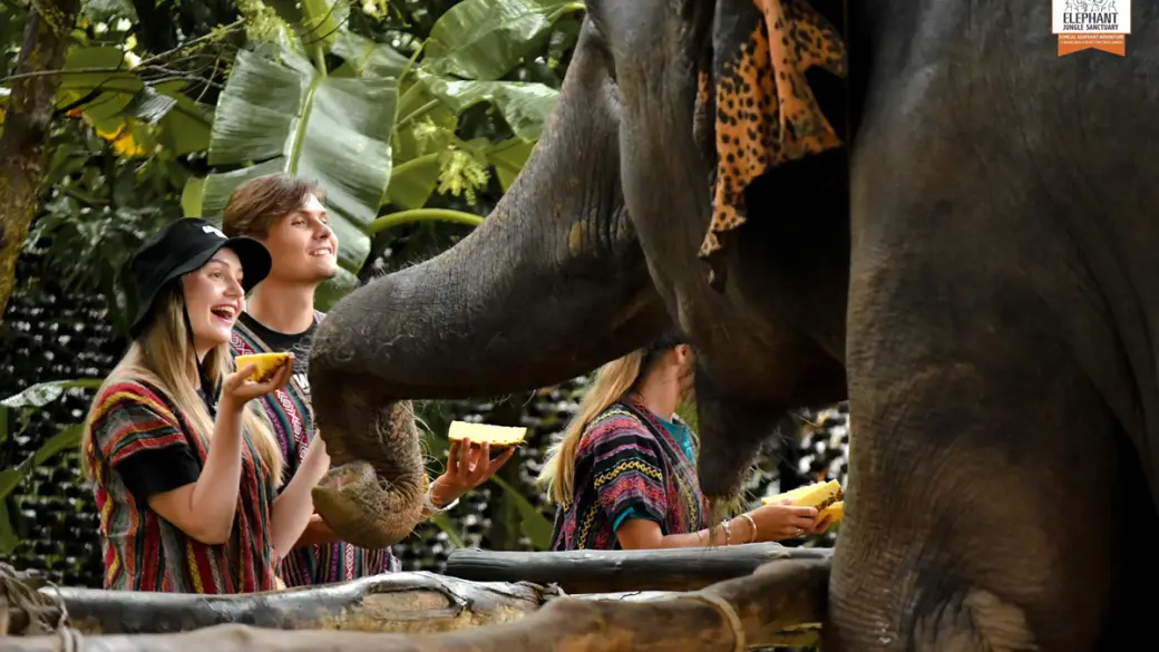 Elephant Jungle Sanctuary