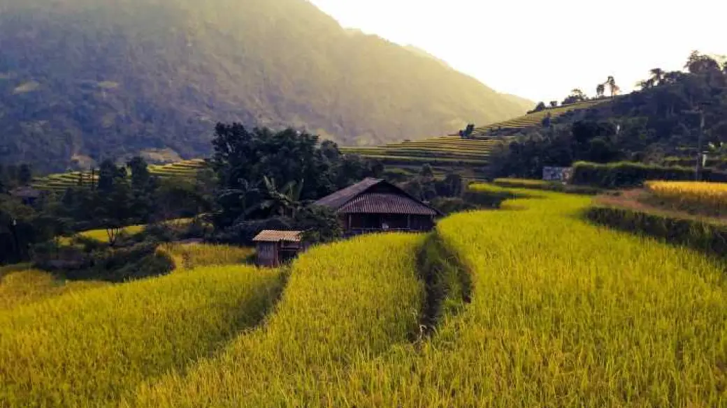 Nam Sai - My Son - Nam Toong - Sapa - Treno notturno per Hanoi