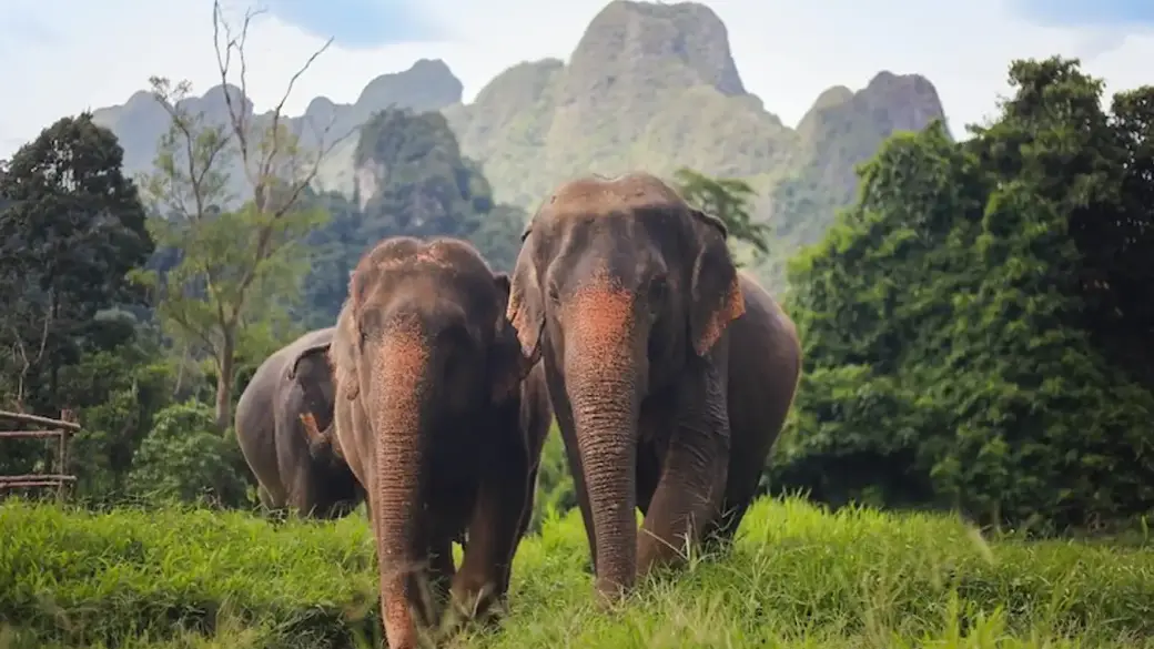Surat Thani - Khao Sok