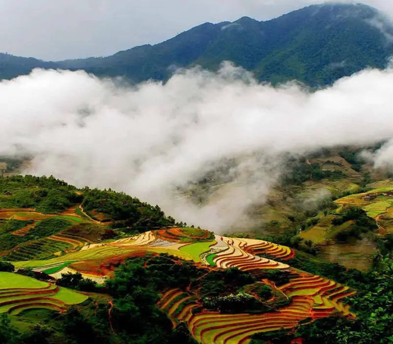 Risaie a terrazza nel Nord del Vietnam