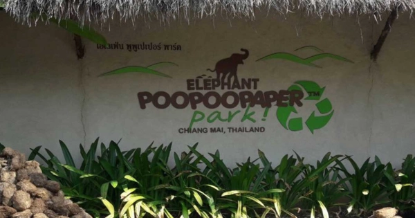 Parco Elephant PoopooPaper - Consigli di viaggio - Tour in Thailandia