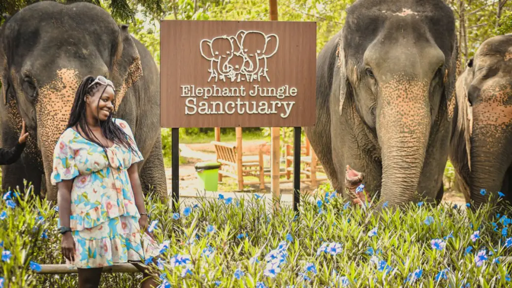 Chiang Mai - Elephant Jungle Sanctuary - Chiang Mai Tour di gruppo con guida parlante inglese