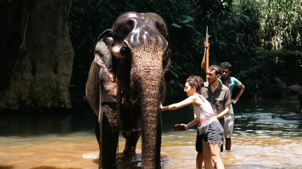 Chiang Mai - Santuario degli elefanti nella giungla - Villaggio di Long Neck Karen - Chiang Mai