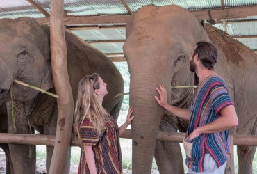 Chiang Mai - Elephant Jungle Sanctuary - Chiang Mai (B/L) Tour di gruppo con guida inglese