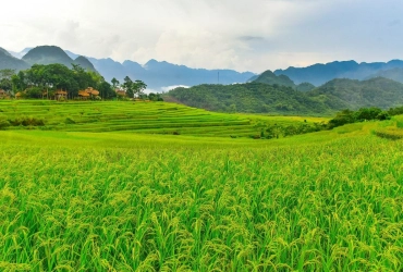 Pu Luong - Villaggio di Kho Muong - Grotta di Doi - Ninh Binh (B)
