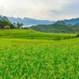 Vietnam autentico 21 giorni tra cultura, natura e mare
