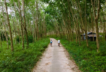 Tempo libero a Koh Yao Yai (B) né guida né autista