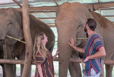 Chiang Mai - Elephant Jungle Sanctuary - Chiang Mai (B/L) Tour di gruppo con guida parlante inglese