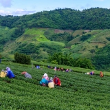 Vietnam e Thailandia 20 Giorni: Città, Templi e Mare